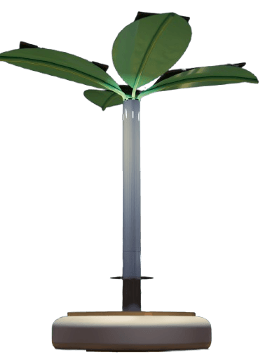 apresentation-image